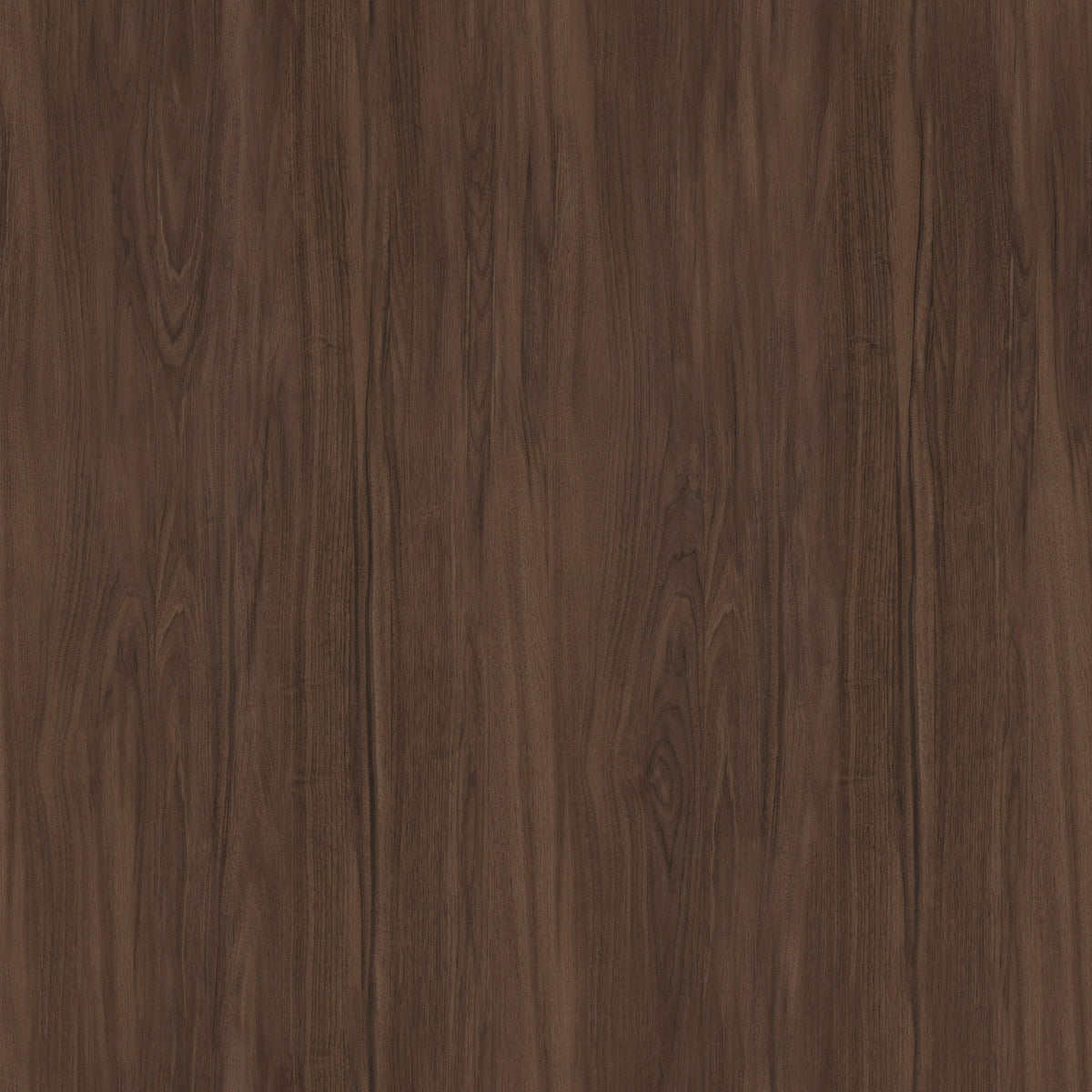 Oak Chocolate
