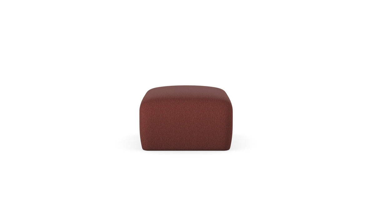 Module Hug OTN