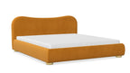 Lit Spark, King