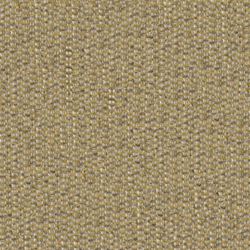 Desert